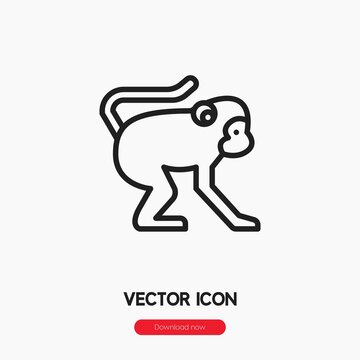 monkey icon vector sign symbol