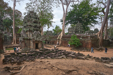 Ruins of Ta Prohm khmer temple in  Angkor Thom