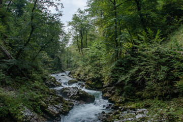 Fototapeta na wymiar Small river with clear water in Triglav national park Slovenia