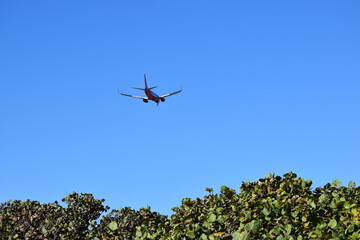 airplane in the sky