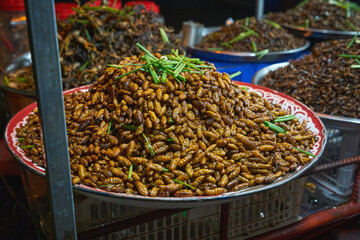 Fried insects at the night street market in Cambodia
