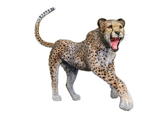 3D Rendering Big Cat Cheetah on White