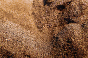 coffee beans background