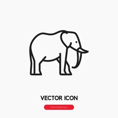 elephant icon vector sign symbol
