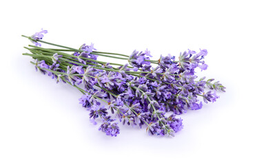 Lavender flowers isolated on white background