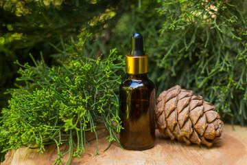 Conifer essential  oil - juniper in a dark glass bottle, pine cone, bush, outdoors, close up, soft selective focus