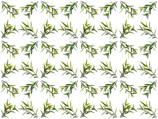 Leaves or Foliage pattern with a white background. Beautiful leaf pattern.
