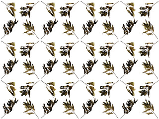 Leaves or Foliage pattern with a white background. Beautiful leaf pattern.