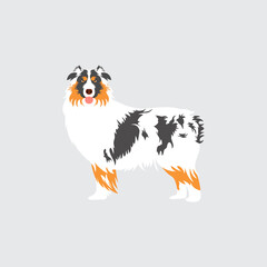 Australian Shepherd or Aussie dog isolated on gray background. Cartoon dog puppy icon vector. Hand drawn childish vector illustration. Great for icon, symbol, logo, children's book.