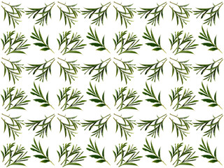 Fototapeta na wymiar Leaves or Foliage pattern with a white background. Beautiful leaf pattern.