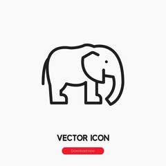 elephant icon vector sign symbol
