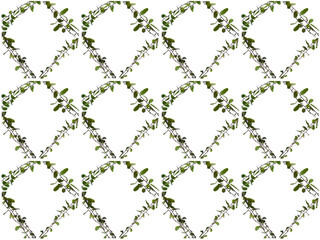 Leaves or Foliage pattern with a white background. Beautiful leaf pattern.