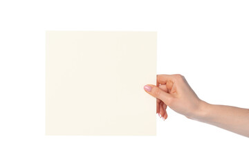 Obraz premium Woman's hand showing white paper banner isolated on white