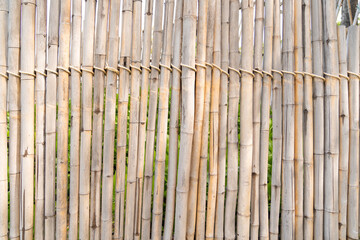 Bamboo poles are tied together in the row to be partition and wall.