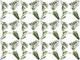 Leaves or Foliage pattern with a white background. Beautiful leaf pattern.