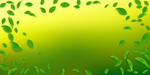 Falling green leaves. Fresh tea chaotic leaves fly