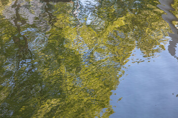 Reflection of green trees in the water
