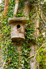 Birdhouse on large tree