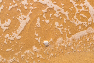 seashell in focus on a  background of the sea of the beach, a paradise in Thailand on Koh Samui, vacation on the island