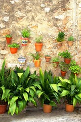 Plants and flowerpots at patio, Valldemossa, Majorca, Spain