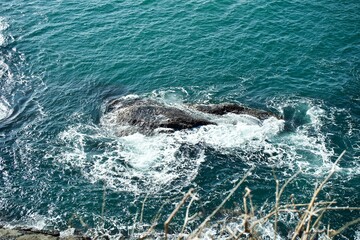 Fototapeta premium The reef and white waves in Japan.