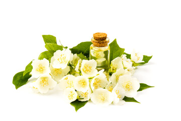Jasmine flowers whith glass bottle for aroma oil, isolated on white background, close- up.