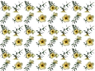 Stof per meter Floral pattern or Flower pattern with a white background. Beautiful flowers pattern. © PurMoon