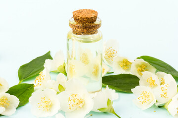 Jasmine flowers whith glass bottle for aroma oil, isolated on blue background, close- up.