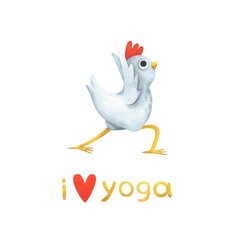 Funny white chicken in yoga poses. A set of watercolor illustrations with a bird in Triangle Pose and the text 