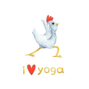Funny white chicken in yoga poses. A set of watercolor illustrations with a bird in Triangle Pose and the text "I love yoga". Stock image of cute stickers isolated on a white background.