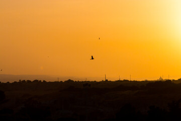 sunset in the sky