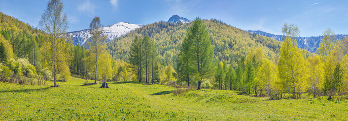 Panoramic mountain view. Snow on the peaks, spring greens of forests and meadows. Travel and vacation in the mountains.
