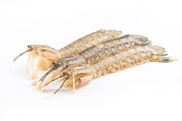 Fresh mantis shrimp on a white background