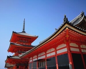 Fototapeta premium Japan