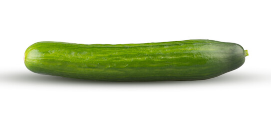 Whole cucumber isolated on white background. Fresh long gherkin vegetable
