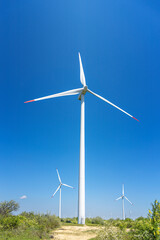 Fototapeta premium Wind farm in the field. Wind power station in a glass against a blue sky.