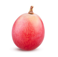 Single red grape berry isolated closeup on white background. Vine berry juicy and ripe