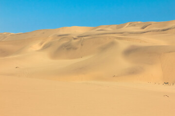Fototapeta na wymiar Big sand dunes panorama. Desert and coastal beach sand landscape scenery. Abstract background.
