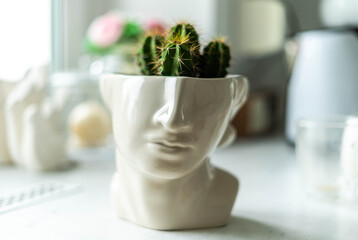 Head flowerpot with cactus on the top - interior trends