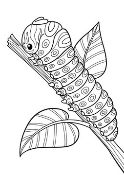 Caterpillar antistress doodle coloring book page for adult. Zentangle style. Black and white vector illustration