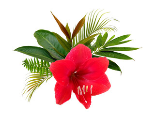 Flower and green leaf isolated on white background. Leaf and flower arrangement for decoration or frame. Beautiful green leaves.