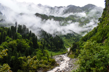 Fototapeta na wymiar Lush green & rocky mountains valley covered in clouds on a misty morning. Cloudy landscape with beautiful waterfalls captured during monsoon trek to Valley of Flowers National Park,Uttarakhand, India.