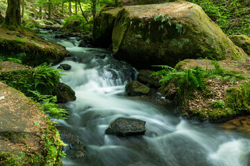 Fototapeta premium Wild and romantic Karlstal gorge in spring near Trippstadt Rhineland Palatinate, Germany