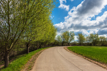 Straße mit Bäumen am Rand eines Feldes