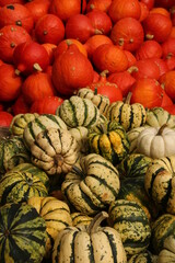 pumpkins