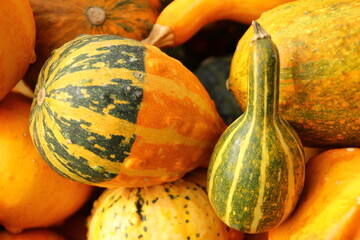 pumpkins with stripes and texture