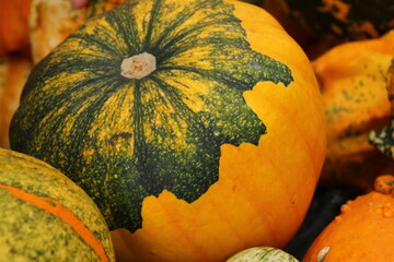 pumpkins