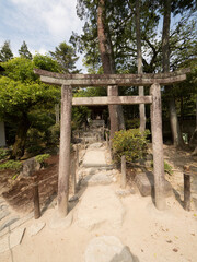Fototapeta na wymiar Torii en el Templo Gingakuji, en Kioto, Japón