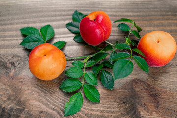 Three apricots on a wooden base. In the foreground.