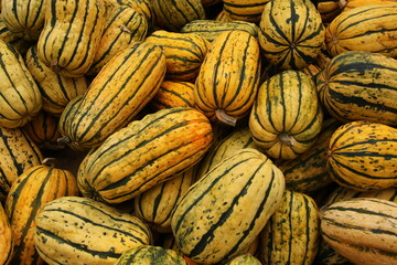 pumpkins with stripes and texture